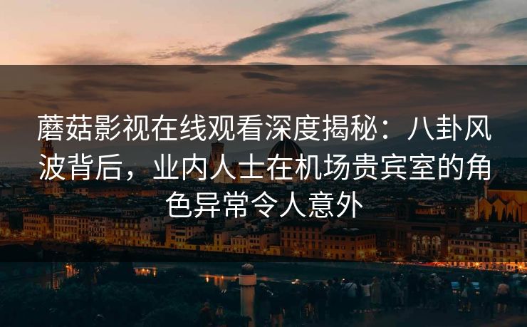 蘑菇影视在线观看深度揭秘：八卦风波背后，业内人士在机场贵宾室的角色异常令人意外